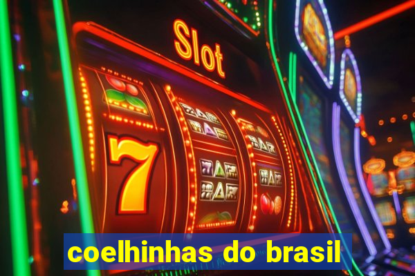 coelhinhas do brasil